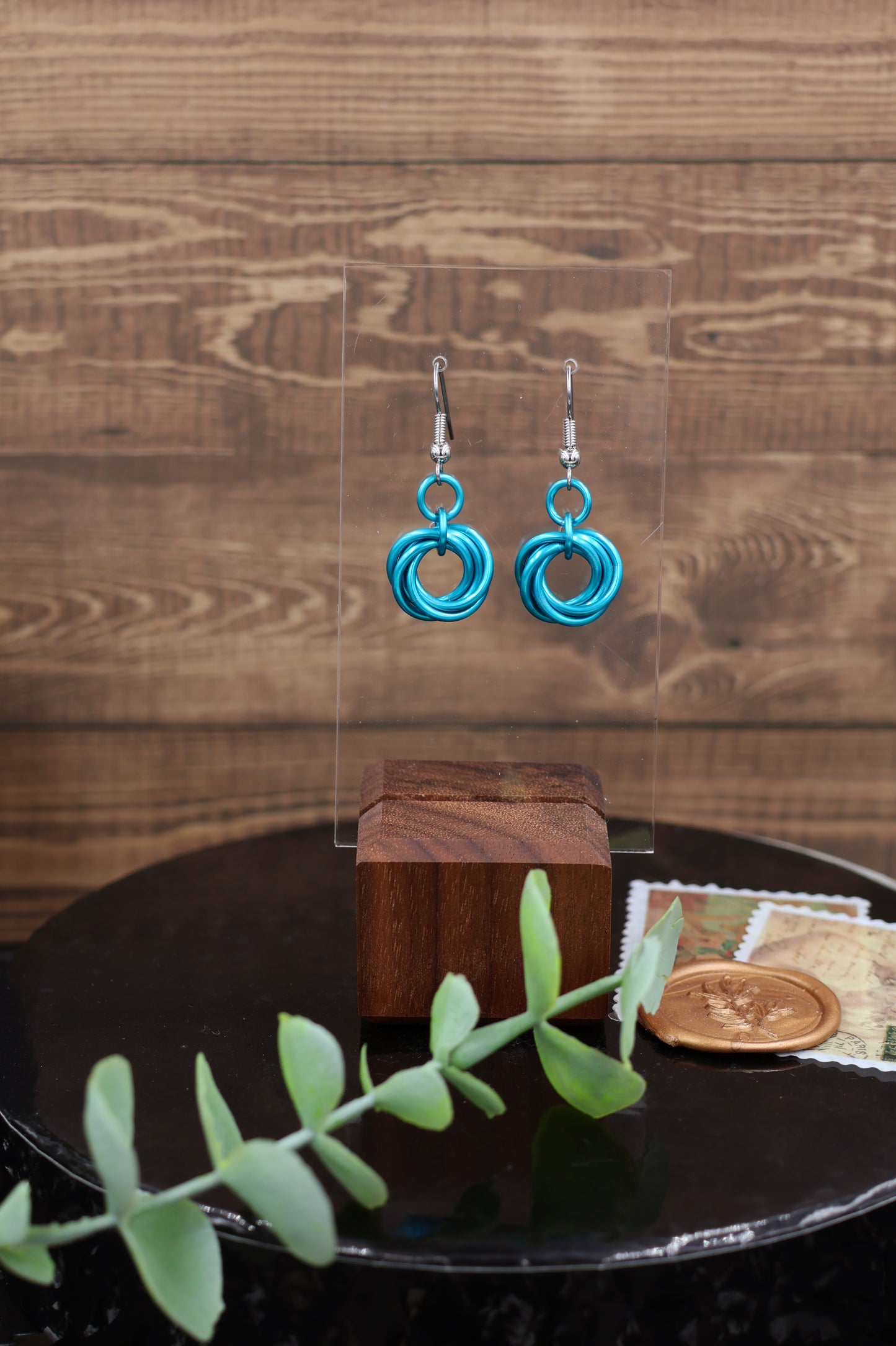 Custom Mobius Earrings