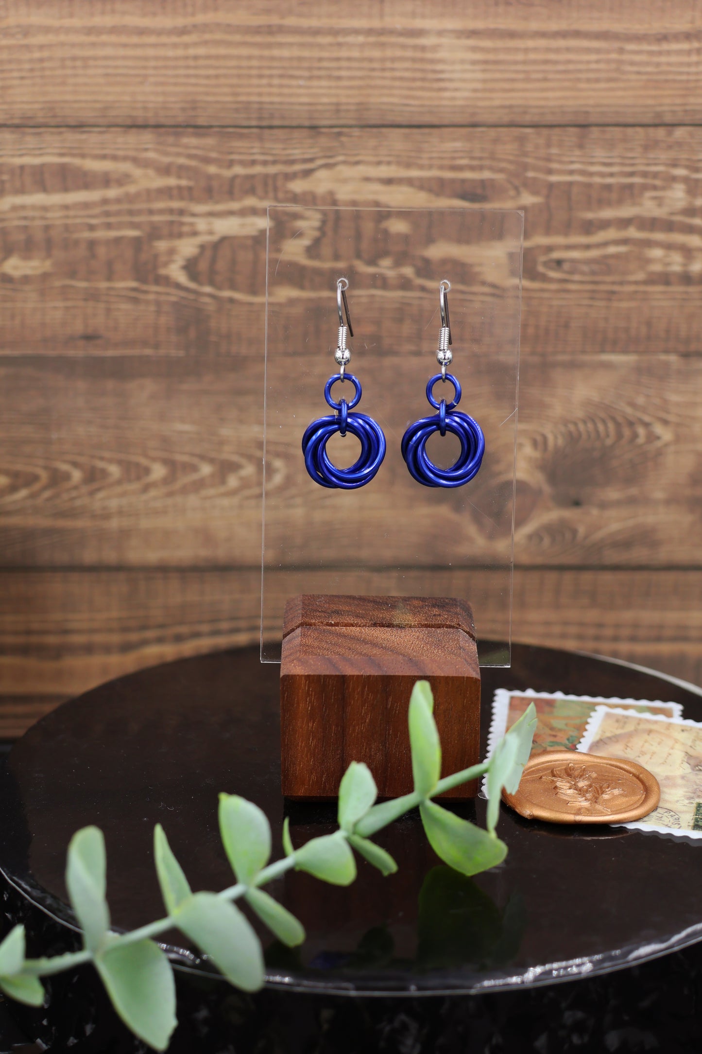 Custom Mobius Earrings