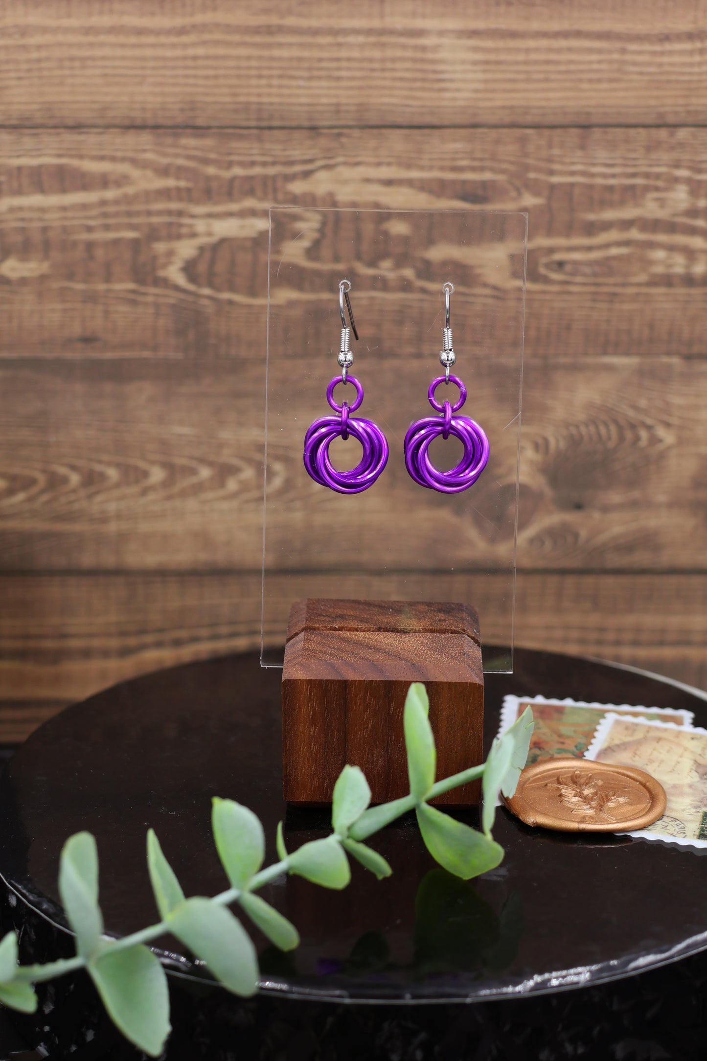 Custom Mobius Earrings